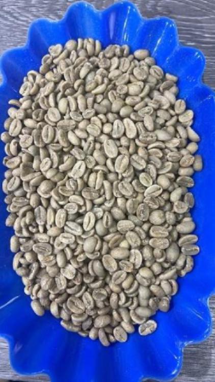 5lb ETHIOPIA YIRGACHEFFE G1 GREEN BEAN