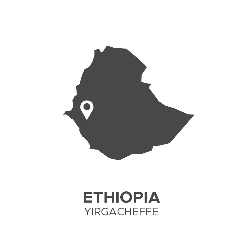 5lb ETHIOPIA YIRGACHEFFE G1 GREEN BEAN